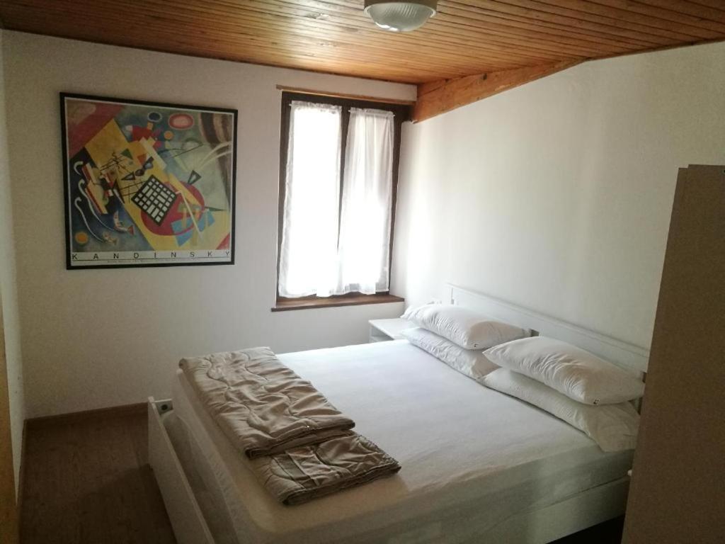Casa Renzo - Dolomiti - Trentino Apartman Mezzano Kültér fotó