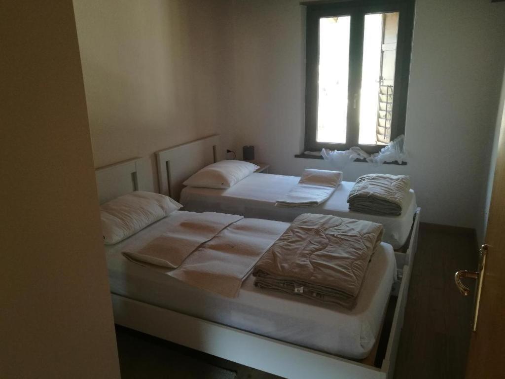 Casa Renzo - Dolomiti - Trentino Apartman Mezzano Kültér fotó